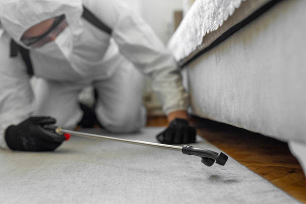 Professional Termite Control technician working in Carthage, TX