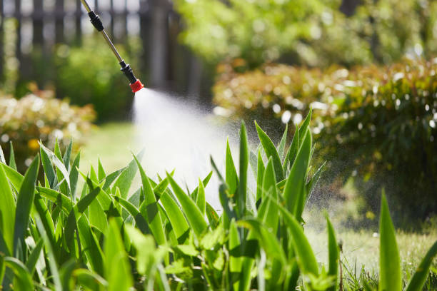 24/7 Emergency Termite Control experts in Carthage, TX